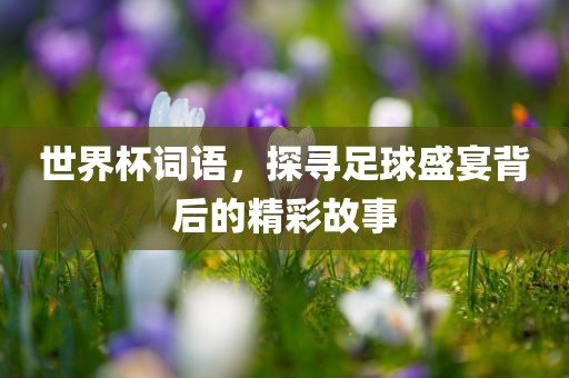 世界杯词语，探寻足球盛宴背后的精彩故事丹东日丰电子有限公司