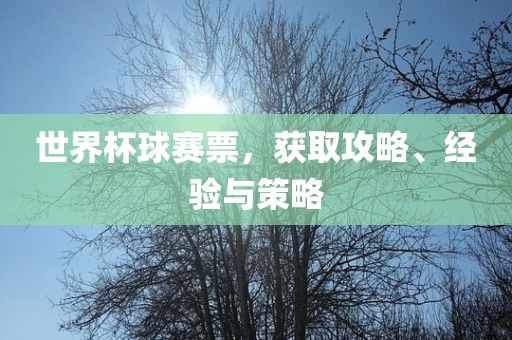 世界杯球赛票，获取攻略、经验与丹东日丰电子有限公司策略