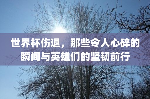 世界杯伤退，那些令人心碎的瞬间与英雄们的坚韧前行丹东日丰电子有限公司