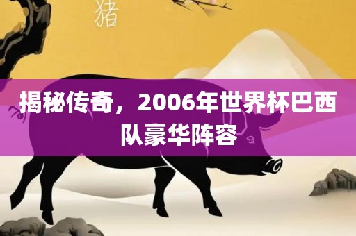 揭秘传奇，2006年世界杯巴西队豪华阵容