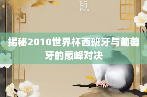 揭秘2010世界杯西班牙与葡萄牙的巅峰对决