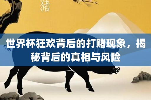 世界杯狂欢背后的打赌现象，揭秘背后的真相与风险丹东日丰电子有限公司