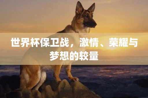 世界杯保卫战，激情、荣耀与梦想的较量丹东日丰电子有限公司