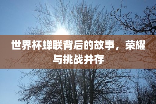 世界杯蝉联背后的故事，荣耀与挑战并存