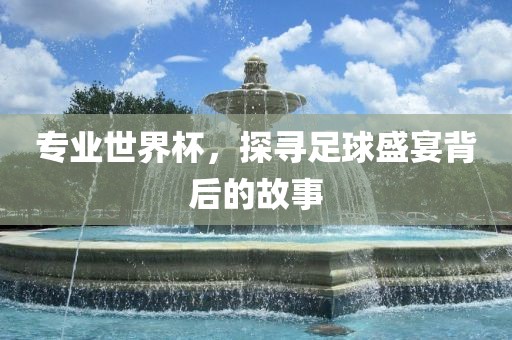 专业世界杯，探寻足球盛宴背后的故事丹东日丰电子有限公司