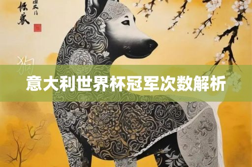 解析 第2页