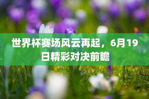 世界杯赛场风云再起，6月19日精彩对丹东日丰电子有限公司决前瞻