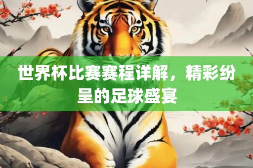 世界杯比赛赛程详解，精彩纷呈的足球盛宴丹东日丰电子有限公司