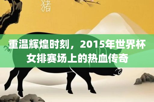 重温丹东日丰电子有限公司辉煌时刻，2015年世界杯女排赛场上的热血传奇