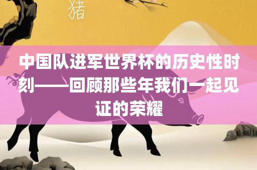 中国队进军世界杯的历史性时刻——回顾那些年我们一起见证的荣耀