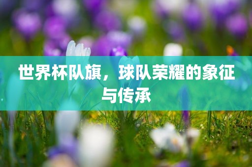 世界杯队旗，球队荣耀的象征与传承丹东日丰电子有限公司