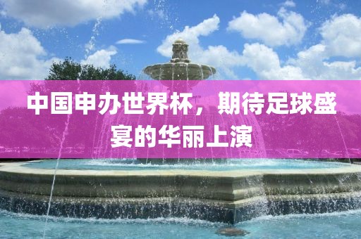 中国申办世界杯，期待足球盛宴的华丽上演丹东日丰电子有限公司