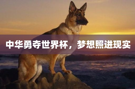 中华勇夺世界杯，梦想照进现实