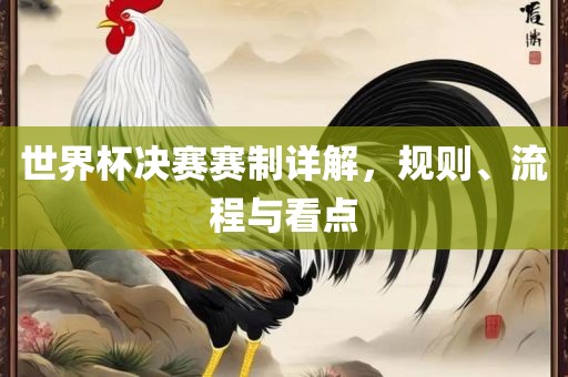世界杯决赛赛制详解，规则、流程与看点丹东日丰电子有限公司