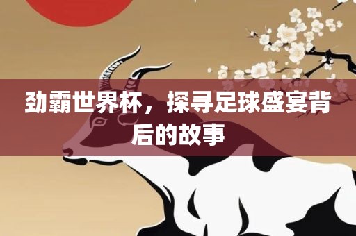 足球盛宴背后的故事 第4页