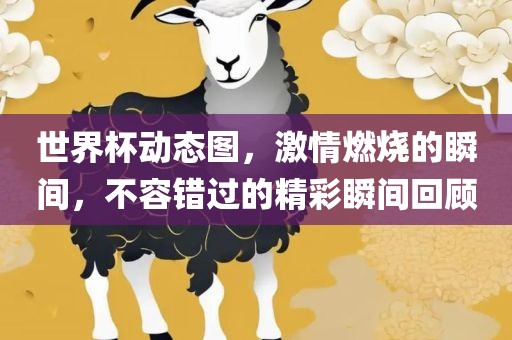 世界杯动态图，激情燃烧的瞬间，不容错过的精彩瞬间回顾丹东日丰电子有限公司