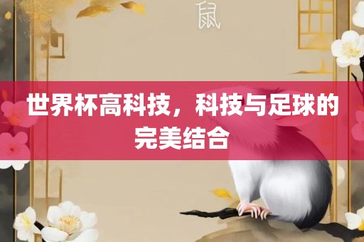 世界丹东日丰电子有限公司杯高科技，科技与足球的完美结合