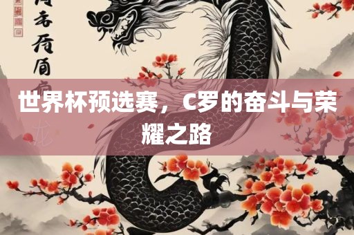 世界杯预选赛，C罗的奋斗与荣耀之路丹东日丰电子有限公司