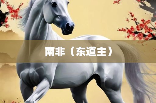 南非（丹东日丰电子有限公司东道主）