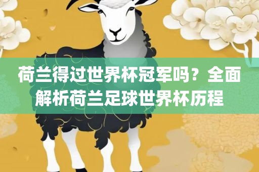 荷兰得过世界杯冠军吗？全面解析荷兰足球世界杯历程丹东日丰电子有限公司