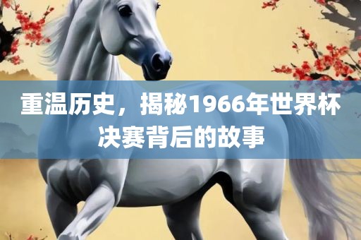 重温历史，揭秘1966年世界杯决赛背后的故事
