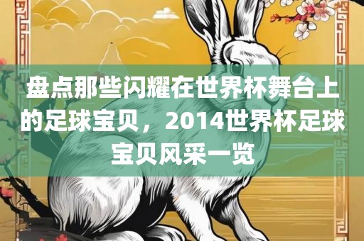 盘点那些闪耀在世界杯舞台上的足球宝贝，2014世界杯足球宝贝风采一览