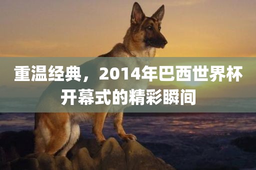 重温经典，2014年巴西世界杯开幕式的精彩瞬间