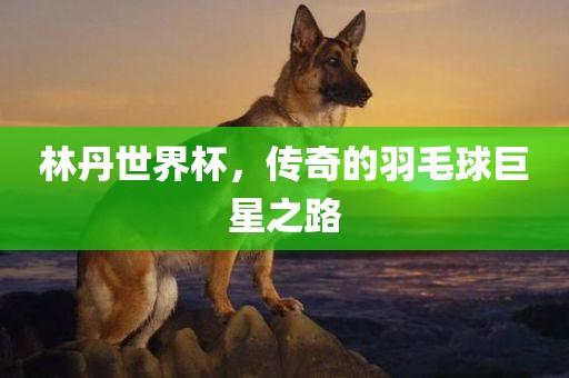 林丹世界杯，传奇的羽毛球巨星之路丹东日丰电子有限公司