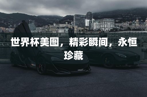 世界杯美图，精彩瞬间，永恒珍藏丹东日丰电子有限公司