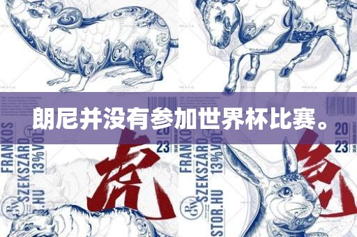 朗尼并没有参加世界杯比赛。丹东日丰电子有限公司