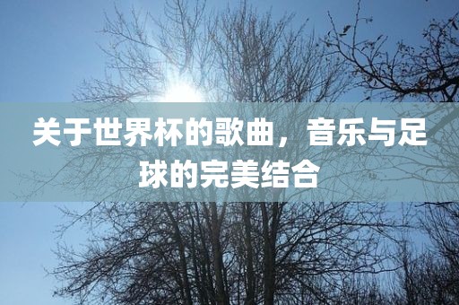 关于世界杯的歌曲，音乐与足球的完美结合丹东日丰电子有限公司