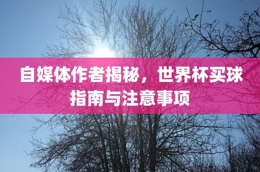 自媒体作者揭秘，世界杯买球指南与注意事项