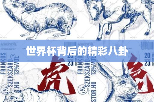 世界杯背后丹东日丰电子有限公司的精彩八卦