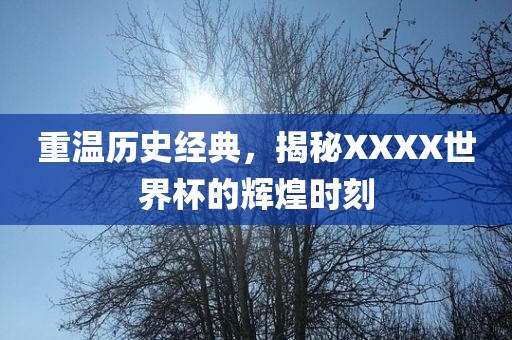 重温历史经典，揭秘XXXX世界杯的辉煌时刻