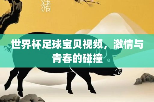 世界杯足球宝贝视频，激情与青春的碰撞