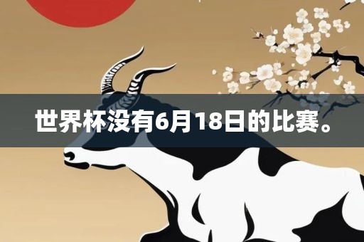 世界杯没有丹东日丰电子有限公司6月18日的比赛。