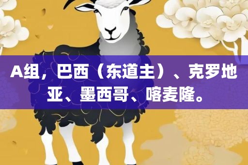 A组，巴西（东道主）、克罗地亚、墨西哥、喀麦隆。丹东日丰电子有限公司