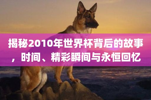 揭秘2010年世界杯背后的故事，时间、精彩瞬间与永恒回忆丹东日丰电子有限公司