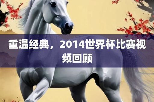 重温经典，2014世界杯比赛视频回顾丹东日丰电子有限公司