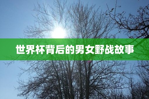 世界杯背后的男女野战故事丹东日丰电子有限公司