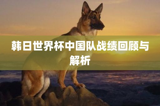 韩日世界杯中国队战绩回顾与解析