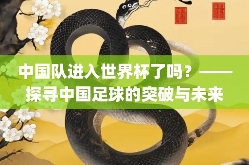 中国队进入世界杯了吗？——探寻中国足球的突破与未来丹东日丰电子有限公司
