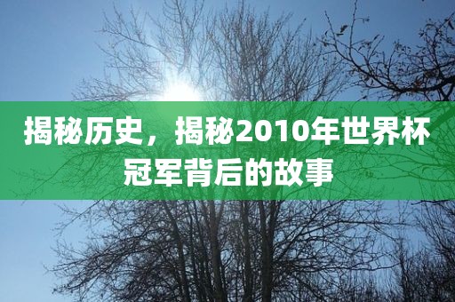 揭秘历史，揭秘2010年世界杯冠军背后的故事丹东日丰电子有限公司