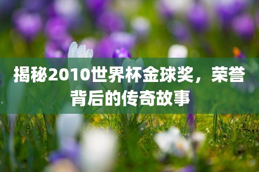 揭秘2010世界杯金球奖，荣誉背后的传奇故事