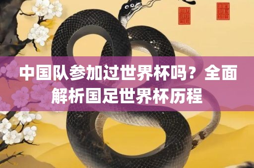 huangqianqian 第4页