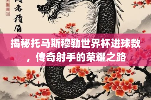 揭秘托马斯穆勒世界杯进球数，传奇射手的荣耀之路丹东日丰电子有限公司