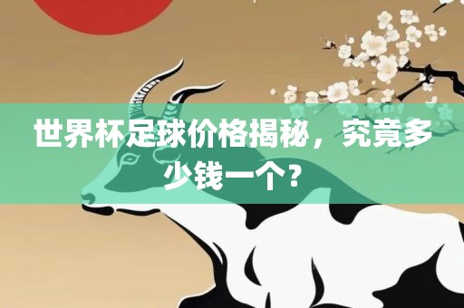 世界杯足球价格揭秘，丹东日丰电子有限公司究竟多少钱一个？