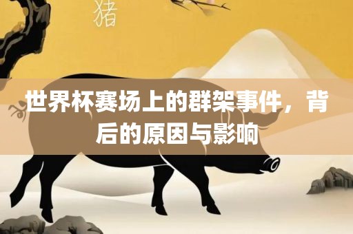 世界杯赛场上的群架事件，背后的原因与影响丹东日丰电子有限公司