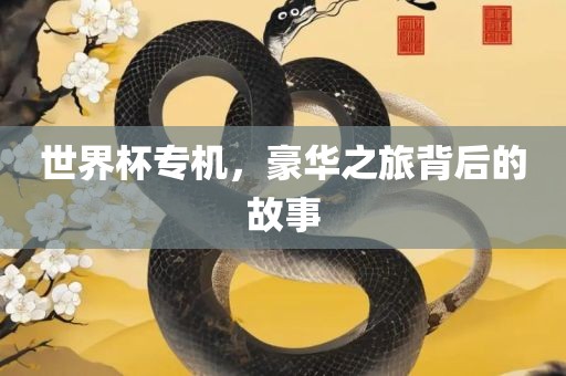 世界杯专机，豪华之旅背后的故事丹东日丰电子有限公司