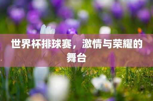 世界杯排球赛，激情与荣耀的舞台
